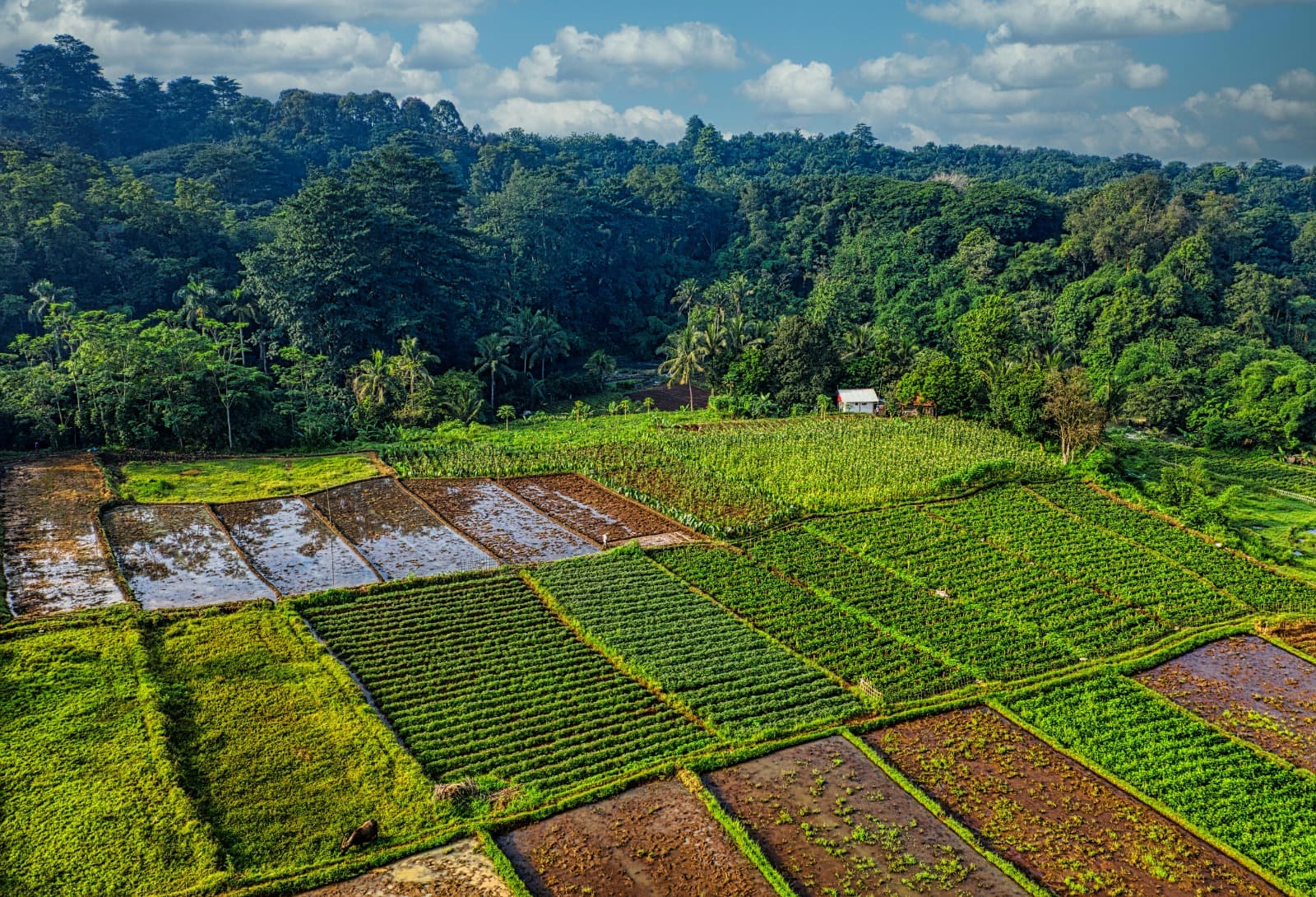 Aerial view of African farmland with modern agriculture technology