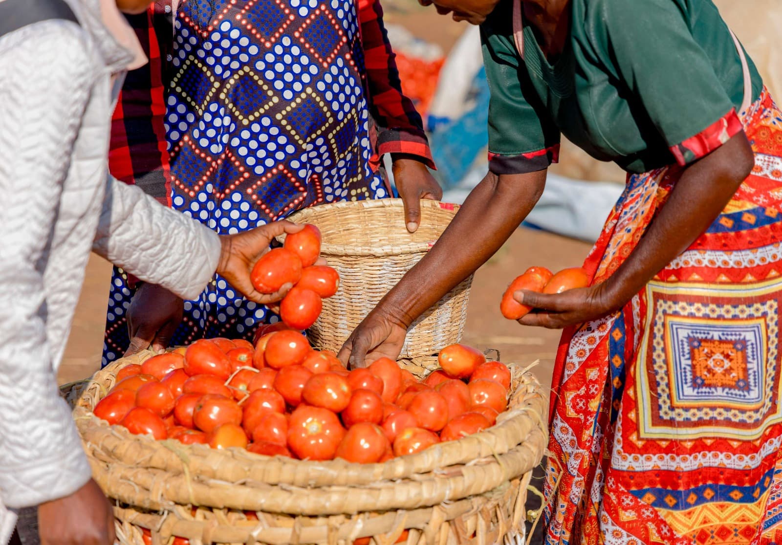 Aerial view of African farmland with modern agriculture technology